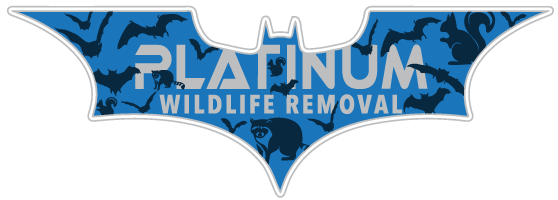 Animal Removal Ohio County